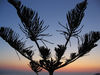 Karpathos